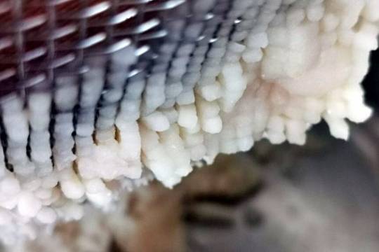 免费无码无遮挡永久色情聊天下载:02-13-15-17-44-47N:48,探索免费无码无遮挡永久色情聊天下载的新世界,02-13-15-17-44-47N与48的指引